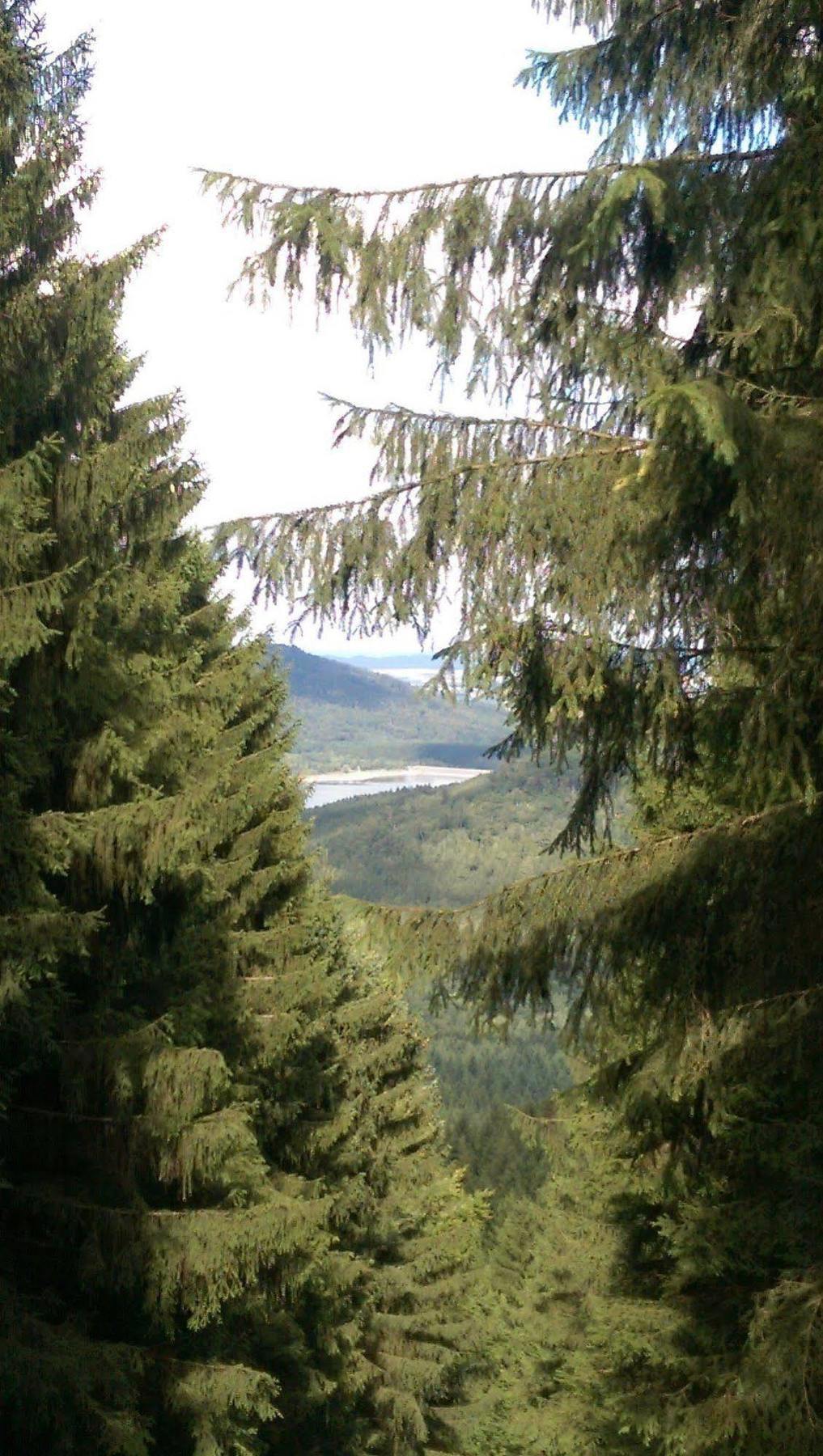 Hotel Berghof Am See Lautenthal المظهر الخارجي الصورة