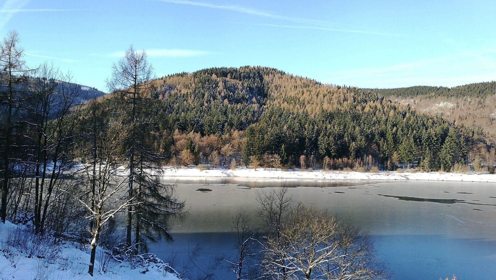 Hotel Berghof Am See Lautenthal المظهر الخارجي الصورة